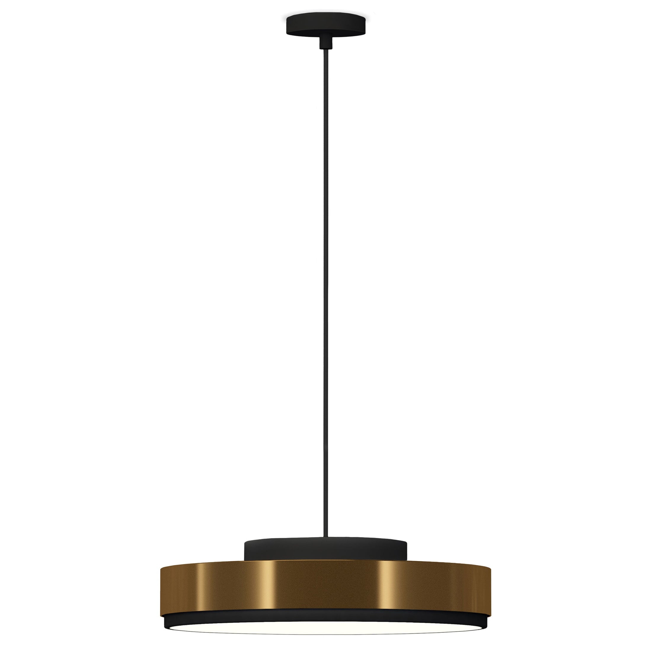 Discus Large LED Pendant - Matte Black Finish