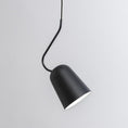 Load image into Gallery viewer, Dodo Pendant Light - Display
