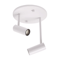 Load image into Gallery viewer, Downey 2 Light Adjustable LED Spot Light
