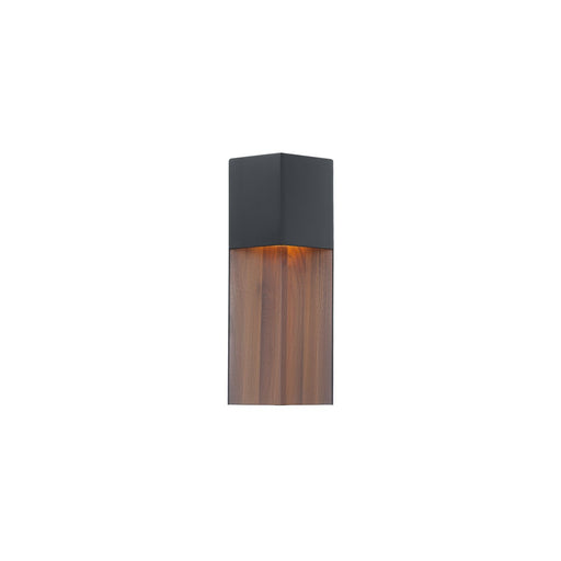 Dusk Small LED Outdoor Wall Sconce - Black Finish Dark Walnut