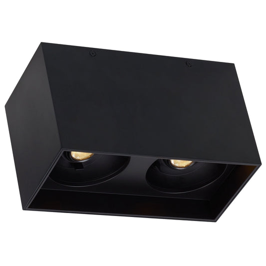 Exo Dual Ceiling Light - Matte Black/Black Finish