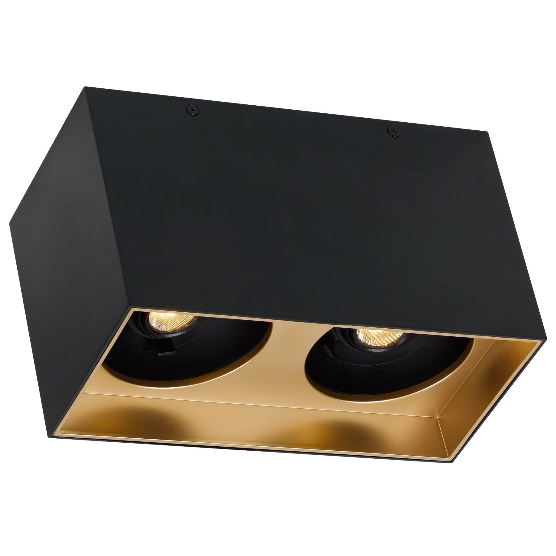 Exo Dual Ceiling Light - Matte Black/Gold Haze Finish