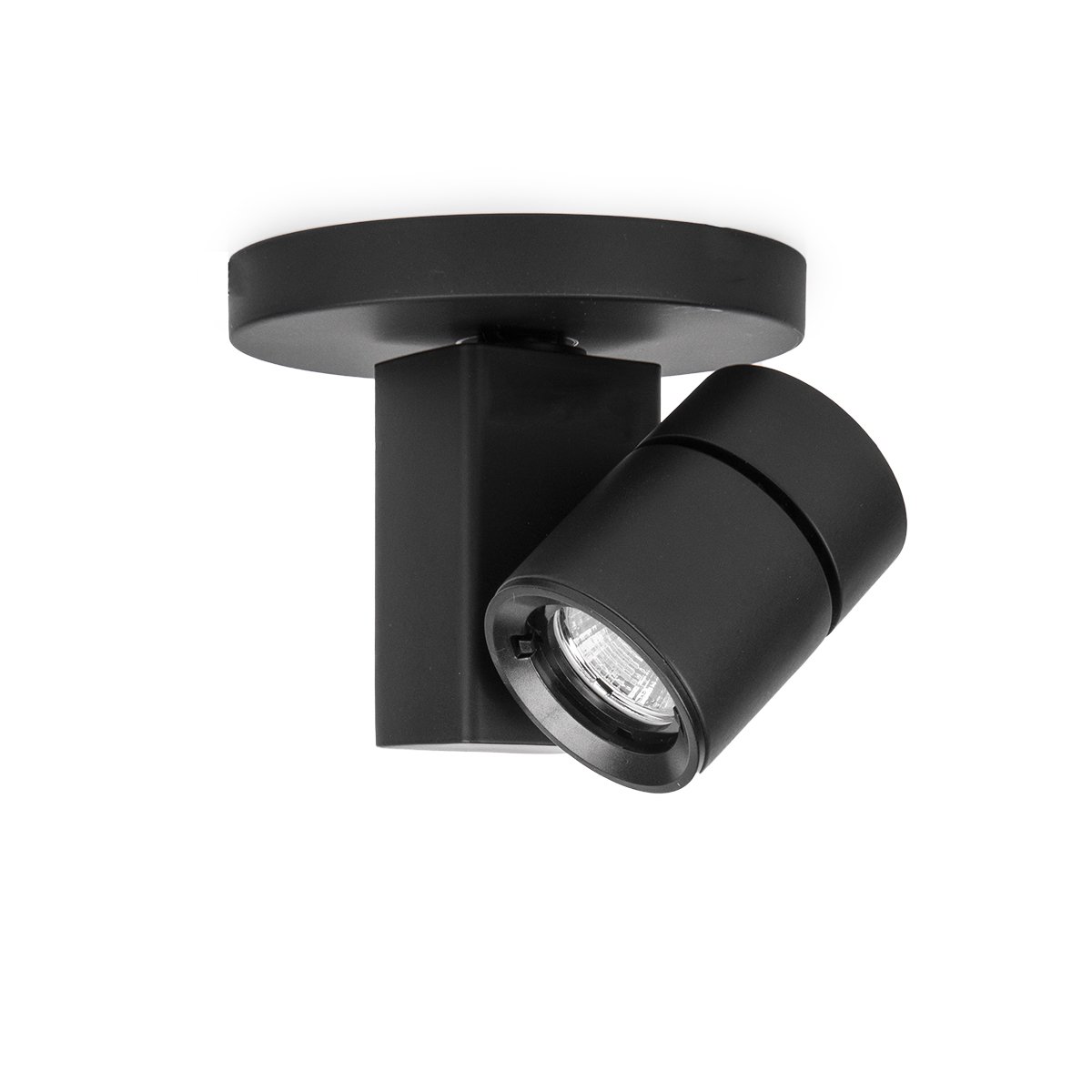 Exterminator II 14W Spotlight - Black Finish