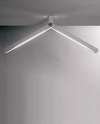 Flex Ceiling Light