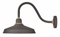 Foundry 16" Shade Curve Arm Outdoor Wall Light - Museum Bronze/18" Arm