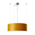 Load image into Gallery viewer, G-Club Suspension Light
