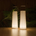 Load image into Gallery viewer, Hipatia LED Table Lamp - Display
