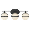 Load image into Gallery viewer, Hollis 3-Light Bath Bar - Black Finish
