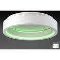 Load image into Gallery viewer, I Corona Flush Mount Ceiling Light - Green Light
