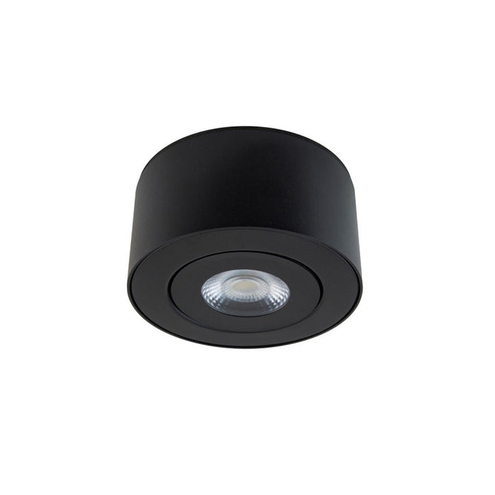 I Spy Outdoor LED Flush Mount - Black Finish