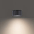 Load image into Gallery viewer, I Spy Outdoor LED Flush Mount - Display
