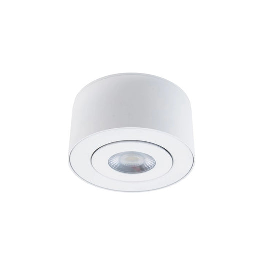 I Spy Outdoor LED Flush Mount - White Finish