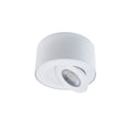 Load image into Gallery viewer, I Spy Outdoor LED Flush Mount - White Finish
