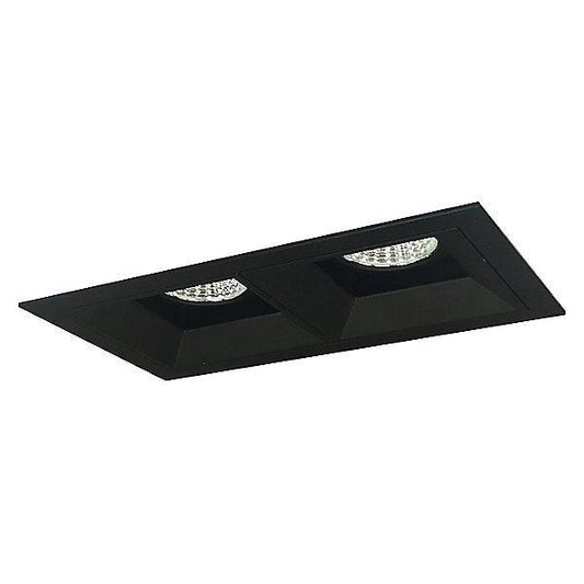 Iolite MLS LED Wall Wash Two Head Trim Set - Black Trim with Black Flange