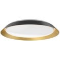 Load image into Gallery viewer, Jasper Large LED Flushmount - Black/Gold Finish
