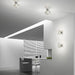 Kuk PP Wall or Ceiling Light - Display