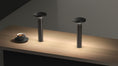 Load image into Gallery viewer, Luci Portable LED Table Lamp -  Display
