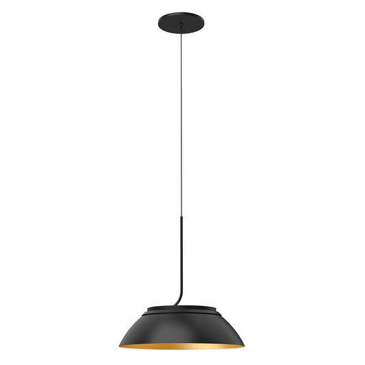 Magellan LED Dome Pendant - Black/Gold Finish