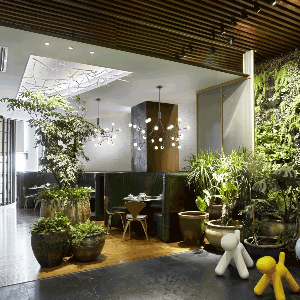 Moto LED Chandelier - Display