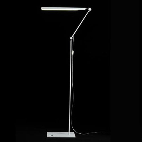 Mr. Ray LED Floor Lamp