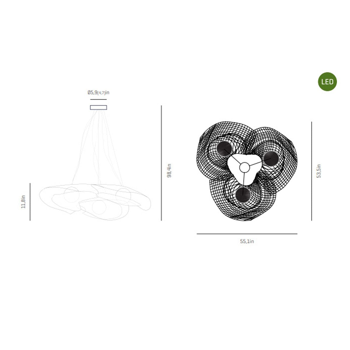 Mytilus Composition LED Pendant - Diagram