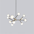 Load image into Gallery viewer, Nabila 12-Light Round Chandelier - Matte Black/Brushed Brass Finish
