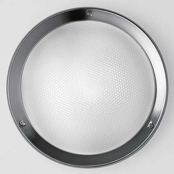 Niki Outdoor LED Wall/Ceiling Light - Stainless Steel