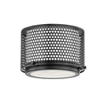 Load image into Gallery viewer, Oracle Small Flush Mount - Black Brass Finish
