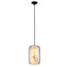 Pendant - Clear Glass/White