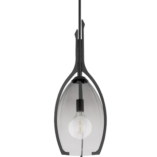 Pacifica Large Pendant - Forged Iron Finish