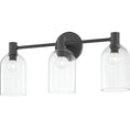 Load image into Gallery viewer, Paisley 3-Light Bathroom Vanity - Black Finish
