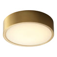 Load image into Gallery viewer, Peepers Large Ceiling / Wall Light Fixture - Aged Brass Finish
