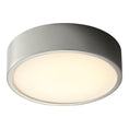 Load image into Gallery viewer, Peepers Large Ceiling / Wall Light Fixture - Polished Nickel Finish
