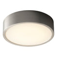 Load image into Gallery viewer, Peepers Large Ceiling / Wall Light Fixture - Satin Nickel Finish
