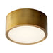 Peepers Small Ceiling / Wall Light Fixture - Aged Brass Finish