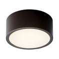 Load image into Gallery viewer, Peepers Small Ceiling / Wall Light Fixture - Oiled Bronze Finish
