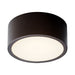 Peepers Small Ceiling / Wall Light Fixture - Oiled Bronze Finish