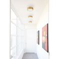 Load image into Gallery viewer, Peepers Ceiling / Wall Light Fixture - Display
