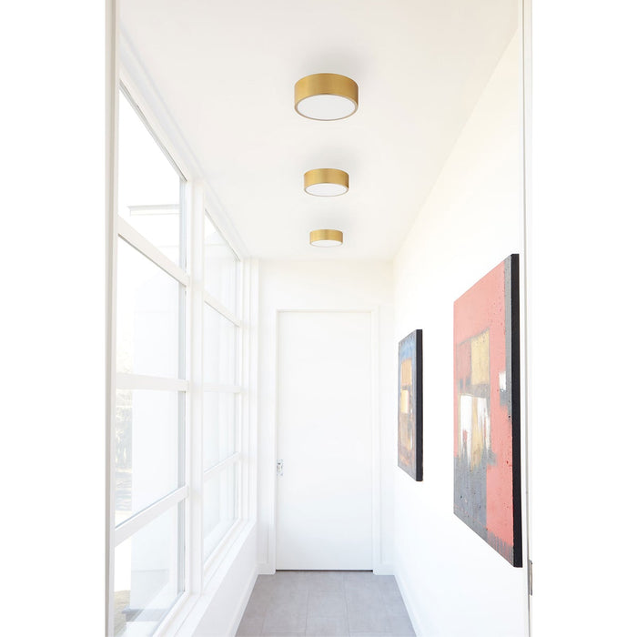 Peepers Ceiling / Wall Light Fixture - Display