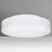 Pella 13" LED Flushmount Ceiling Light Opal Matte