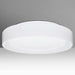 Pella 16" LED Flushmount Ceiling Light Opal Matte