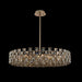 Piazze 36" Pendant - Brushed Champagne Gold Finish