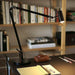 Polo Desk Lamp - Display
