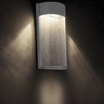 Load image into Gallery viewer, Rain Outdoor Wall Light - Display
