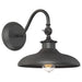 Raleigh Outdoor Wall Sconce - Black Finish