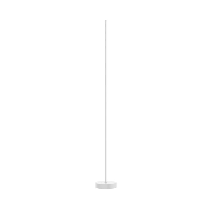 Reeds Single LED Floor Lamp - White Finish