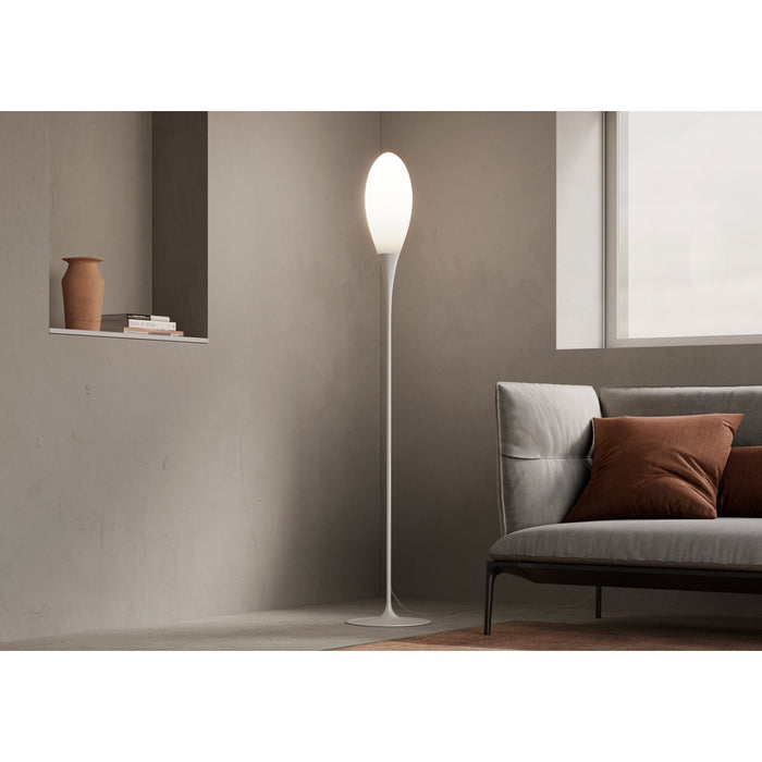 Spillo Floor Lamp - Display
