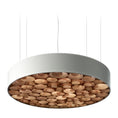 Load image into Gallery viewer, Spiro LED Pendant
