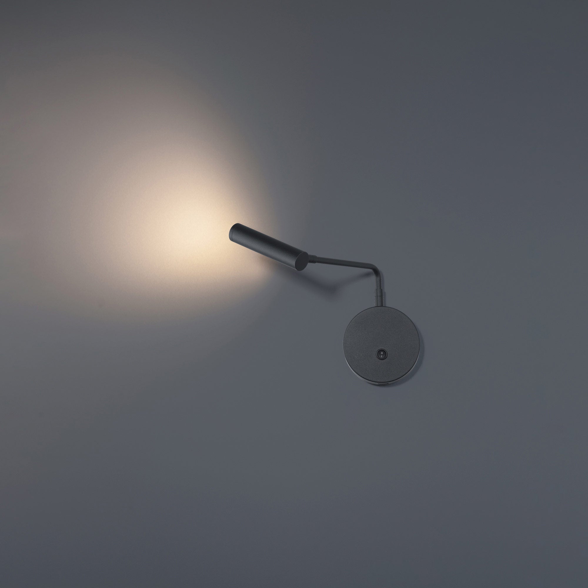 Sprig LED Wall Sconce - Detail