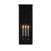 Tanzy Large Outdoor Wall Sconce - Midnight Black Finish
